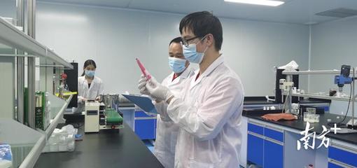 走進高新區&middot;感受新發展丨產值將突破50億元!梅州平遠南藥產業向全產業鏈邁進